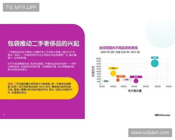 球鞋二级市场风云变幻与投资收藏新趋势解析及消费文化深度观察 - 副本 (3) - 副本